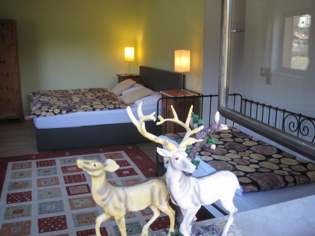The Art & Sport Hotel Innsbruck Buitenkant foto